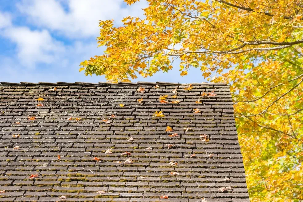 Gutter screen guard leaf protection