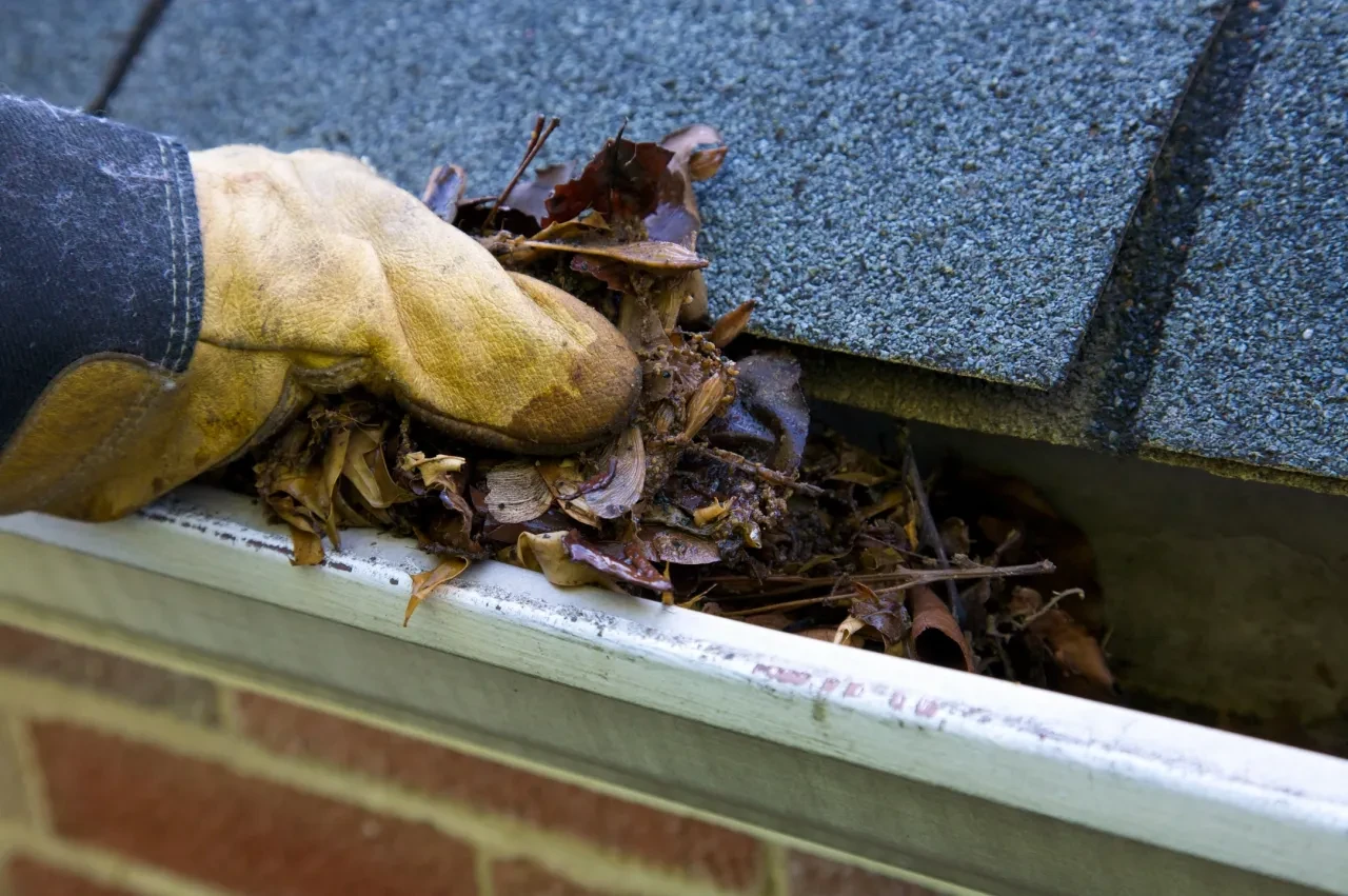Gutter cleaning close-up